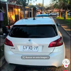 Peugeot 308 blanco robado en Paine, patente LYXD77